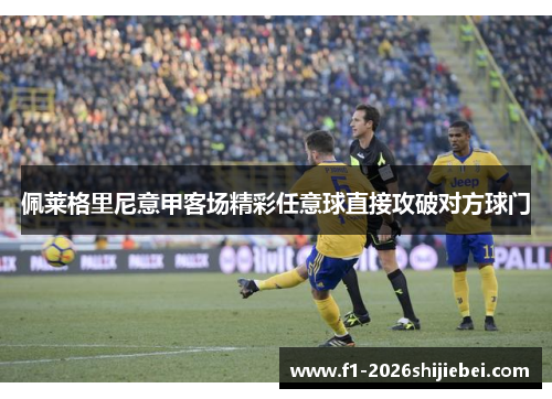 佩莱格里尼意甲客场精彩任意球直接攻破对方球门